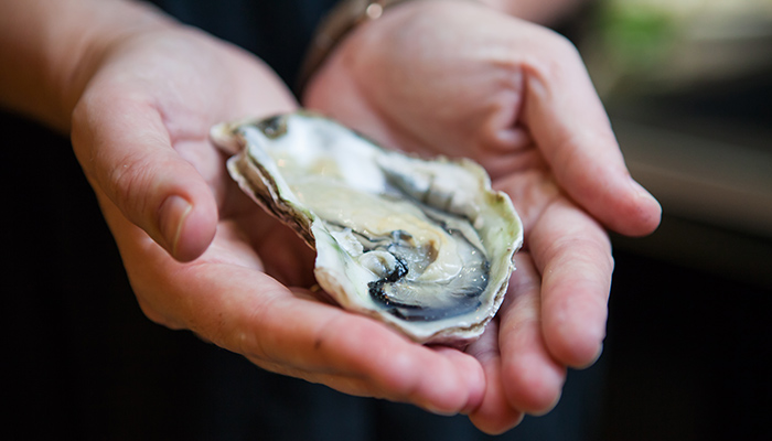 bloody mary oysters
