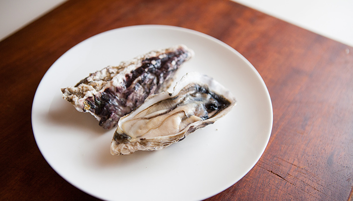 oysters plate rockefeller
